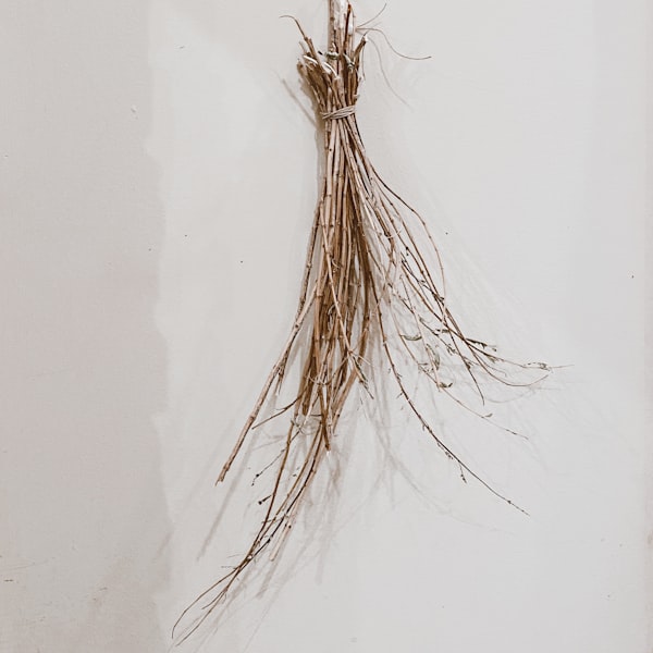 Licorice root